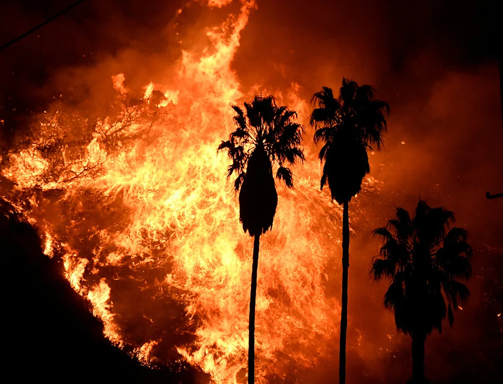 Canadian Wildfire Complexes Blank Like Haze Across Washington Landmarks and Deepen Bilateral Standoffs 2 98765 - CJ Global Newspaper