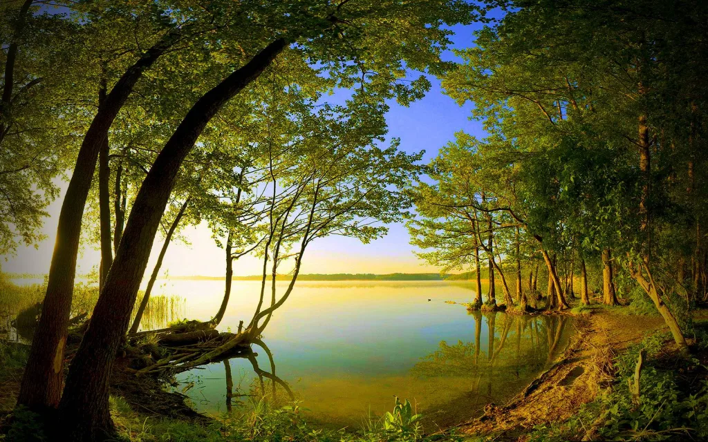 NATURE - Castle Journal