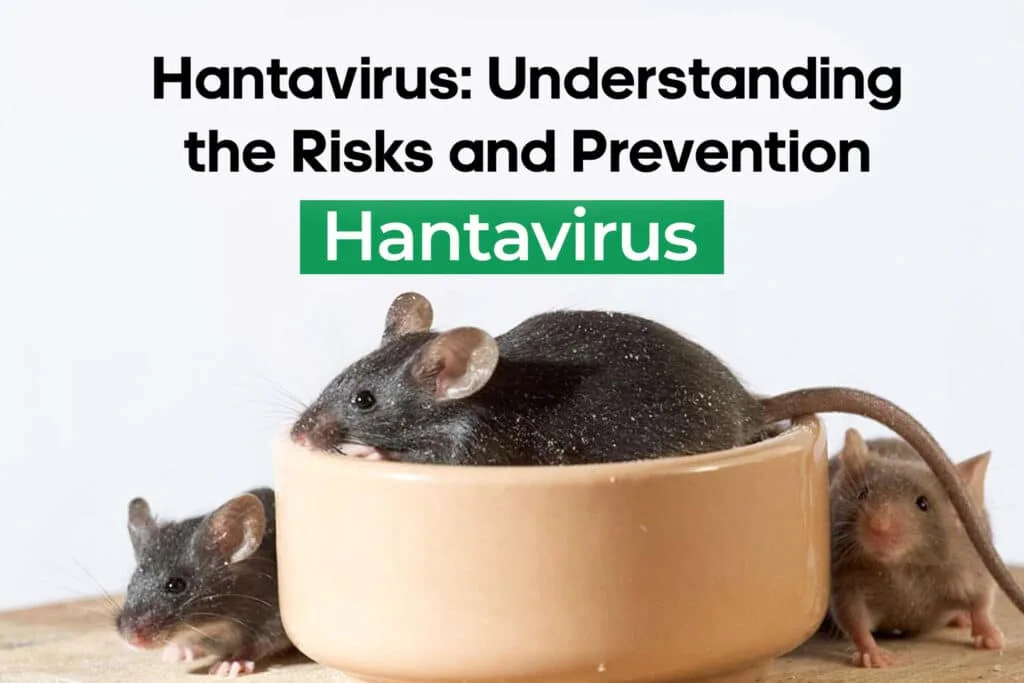 hantavirus 1024x683 1 - CJ Global Newspaper