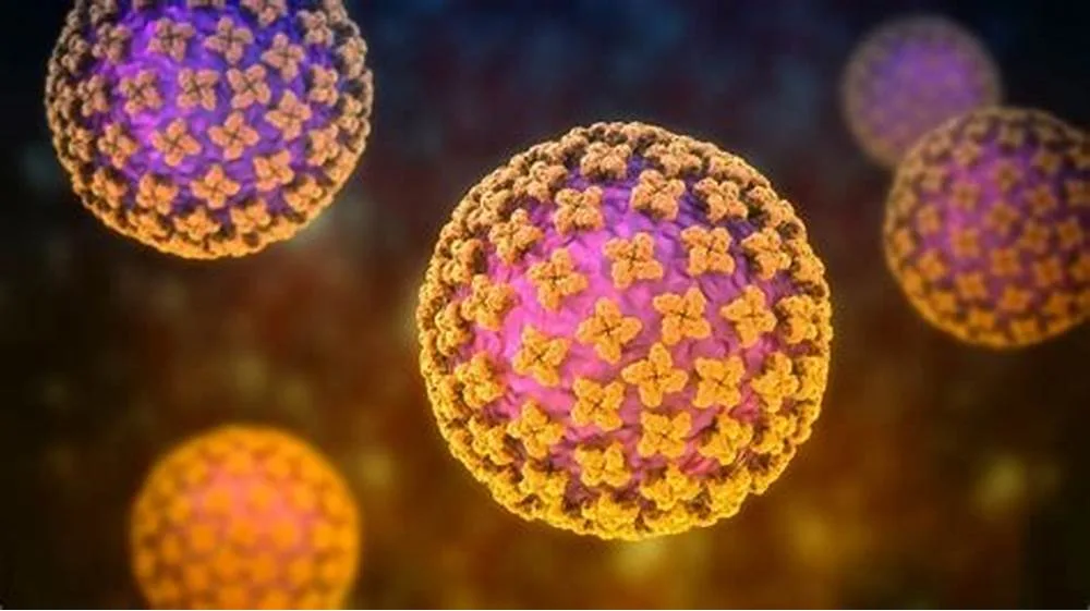 WHO Releases Updated Global Biosurveillance Guidelines to Counter Emerging Pathogen Resistance Risks 4 hantavirus.cj - CJ Global Newspaper