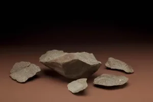 The Dawn of Mankind: The Oldowan Revolution and the First Phase of Prehistory