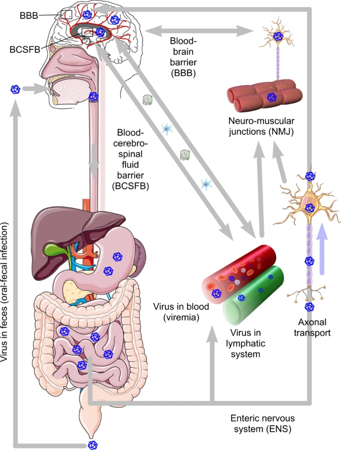 IMG 3859 - CJ Global Newspaper