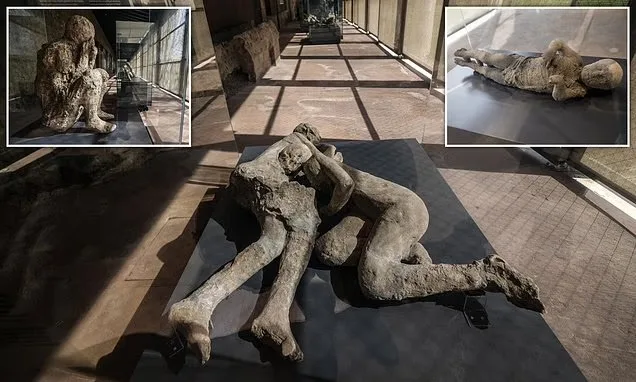 IMG 4605 - CJ Global Newspaper