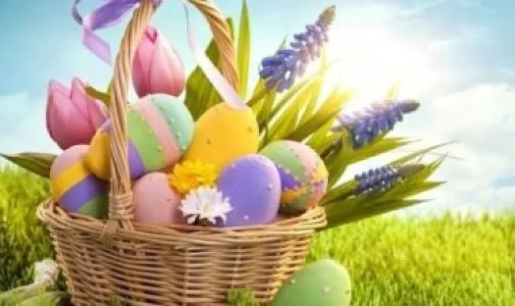 IMG 4860 - CJ Global Newspaper