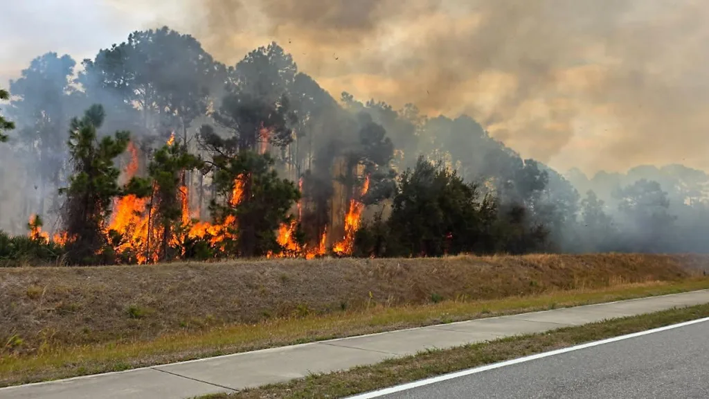 Canadian Wildfire Complexes Blank Like Haze Across Washington Landmarks and Deepen Bilateral Standoffs 3 Florida fire crisis