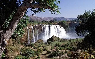 The Reality behind the drought of the Blue Nile at Sudan and A Sharp Drop in Water Levels 3 IMG 6069 - CJ Global Newspaper