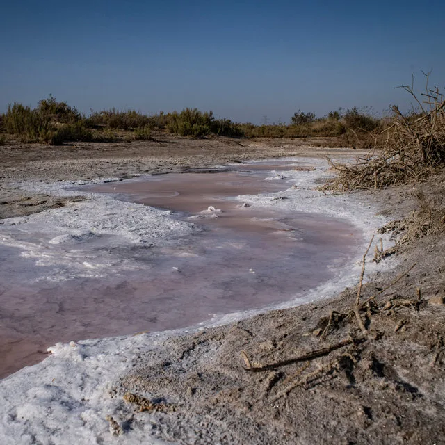 The Reality behind the drought of the Blue Nile at Sudan and A Sharp Drop in Water Levels 7 IMG 6073 - CJ Global Newspaper
