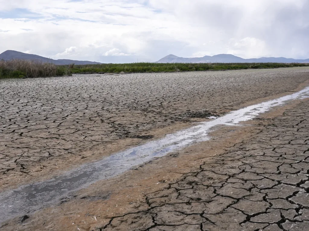 The Reality behind the drought of the Blue Nile at Sudan and A Sharp Drop in Water Levels 9 IMG 6075 - CJ Global Newspaper